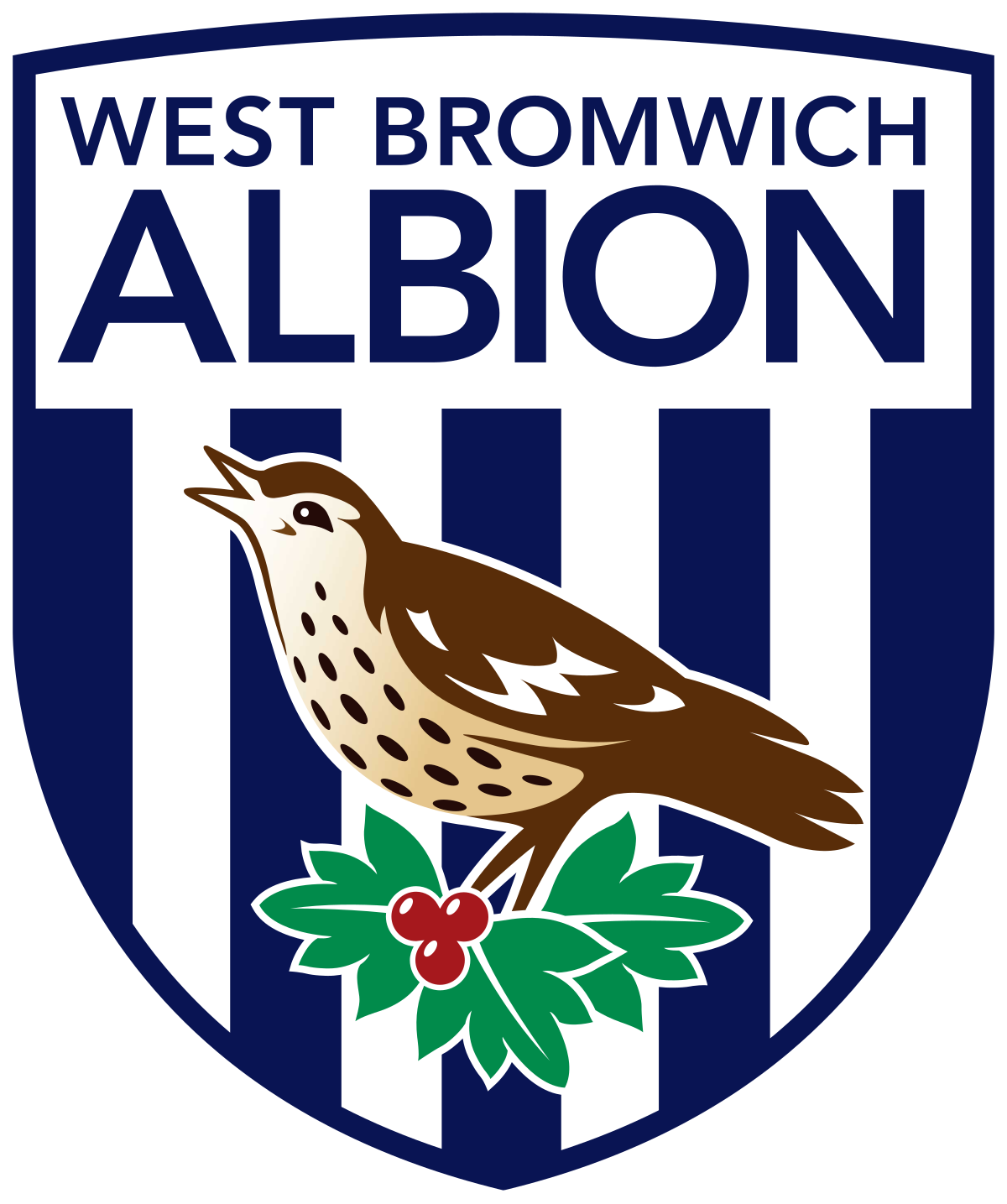 West Bromwich Albion FC logo with a blue and white shield, a bird perched on a branch, and the words West Bromwich Albion, set in a sporting and energetic environment, conveying pride and team spirit